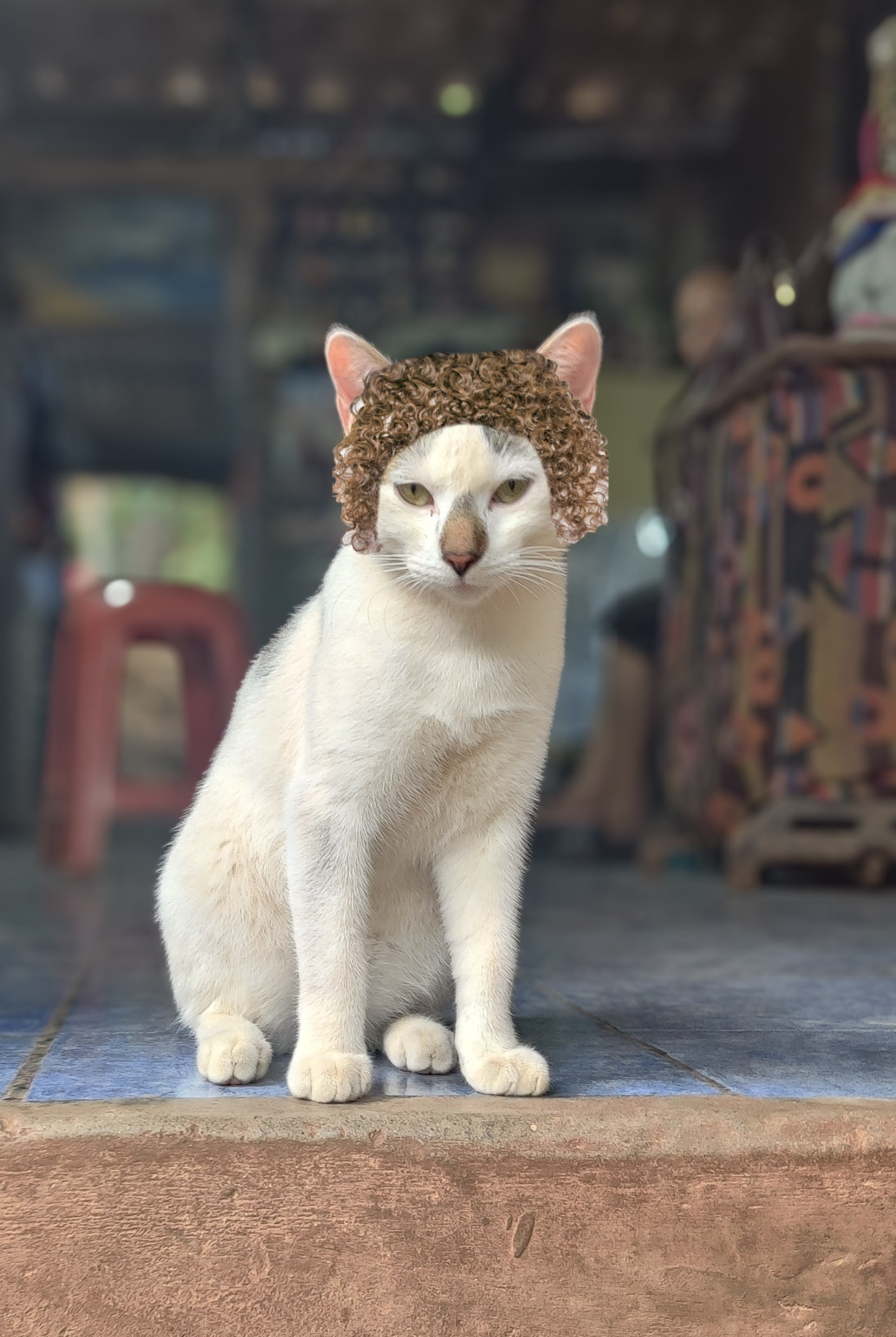 Miau
